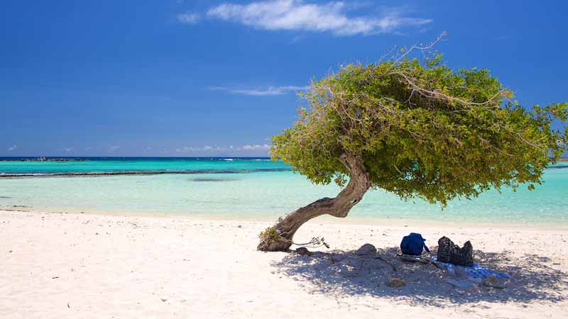 Aruba-luxe-voyages-caraibes
